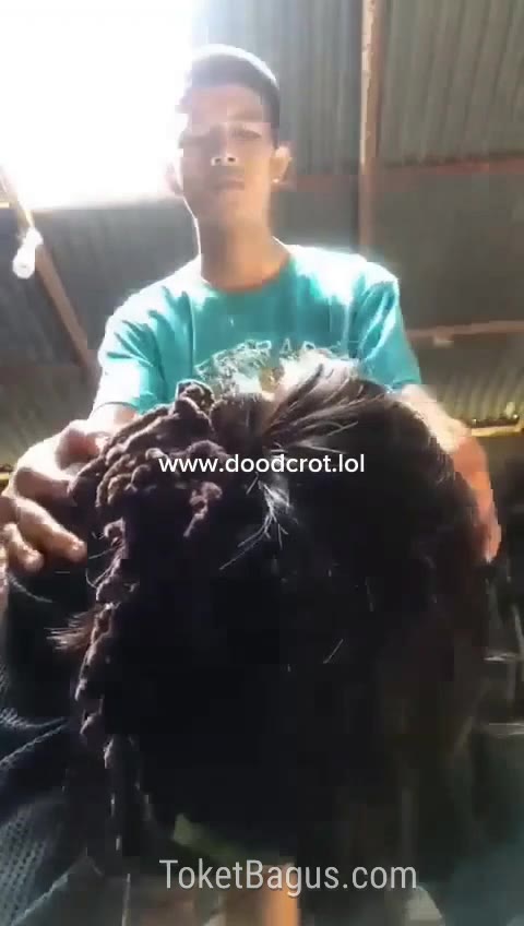 Adik Sama Kakak Ngewe Di Dapur